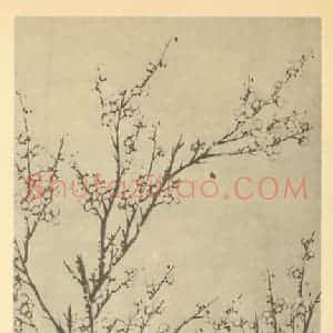 清代 钱善言国画作品《梅花》摘自 南画大成 卷三
