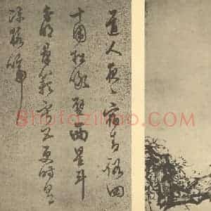 明代 陈继儒国画作品《梅花(二)》摘自 南画大成 卷三