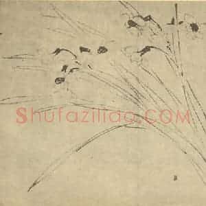 明代 陈淳国画作品《水仙》摘自 南画大成 卷三
