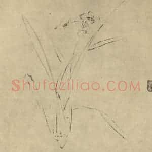 明代 徐渭国画作品《水仙》摘自 南画大成 卷三