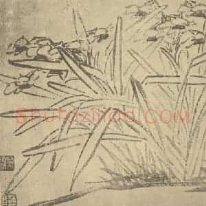 明代 徐渭国画作品《水仙》摘自 南画大成 卷三