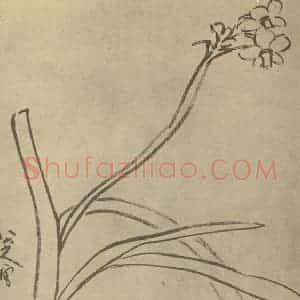清代 朱耷国画作品《水仙》摘自 南画大成 卷三