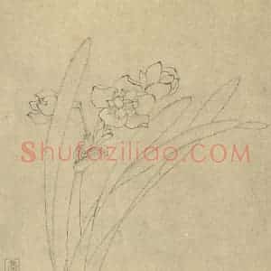 清代 吴彦国国画作品《水仙》摘自 南画大成 卷三