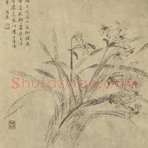 清代 蒋廷锡国画作品《水仙》摘自 南画大成 卷三