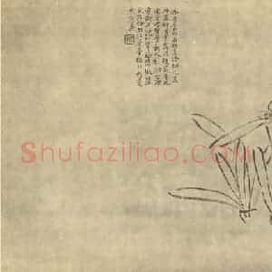 清代 陈撰国画作品《水仙》摘自 南画大成 卷三