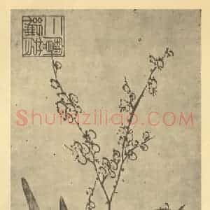 清代 黄钺国画作品《水仙》摘自 南画大成 卷三