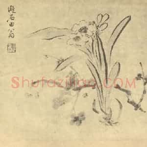 清代 陈豪国画作品《水仙》摘自 南画大成 卷三
