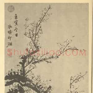 清代 邵弥国画作品《梅花(一)》摘自 南画大成 卷三