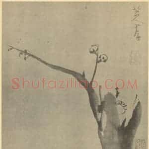 清代 朱耷国画作品《梅花(一)》摘自 南画大成 卷三