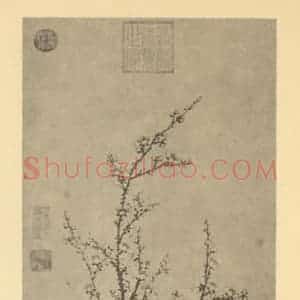 明代 王谦国画作品《梅花》摘自 南画大成 卷三