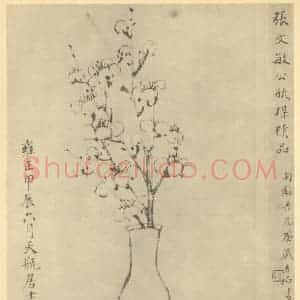 清代 张照国画作品《梅花》摘自 南画大成 卷三
