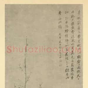 清代 张照国画作品《梅花》摘自 南画大成 卷三