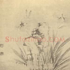 明代 陈淳国画作品《萱草图》摘自 南画大成 卷四