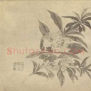清代 蒋溥国画作品《凤仙花》摘自 南画大成 卷四