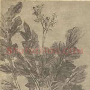 清代 蒋溥国画作品《桂花》摘自 南画大成 卷四
