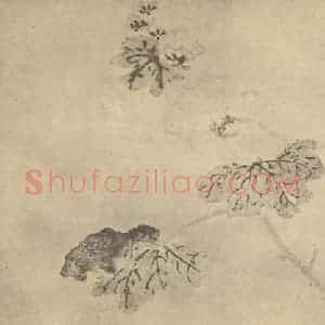 明代 陈淳国画作品《秋葵》摘自 南画大成 卷四