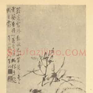 清代 李方膺国画作品《蜀葵图》摘自 南画大成 卷四