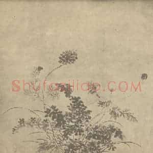 清代 金农国画作品《罂粟》摘自 南画大成 卷四