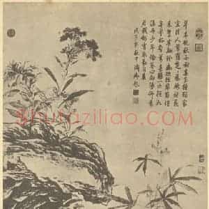 清代 金廷标国画作品《秋花图》摘自 南画大成 卷四