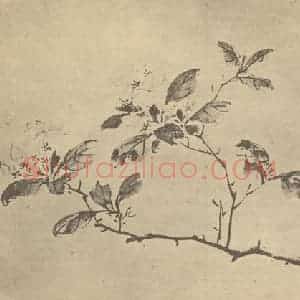明代 陈淳国画作品《茉莉》摘自 南画大成 卷四