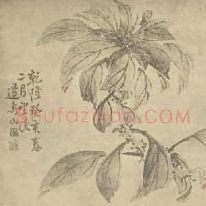 清代 边寿民国画作品《桂花》摘自 南画大成 卷四
