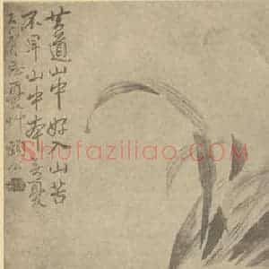 清代 边寿民国画作品《萱草》摘自 南画大成 卷四