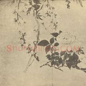 清代 邹一桂国画作品《蔷薇藤花》摘自 南画大成 卷四