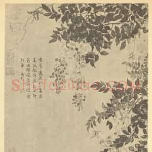 清代 邹一桂国画作品《蔷薇朱藤》摘自 南画大成 卷四