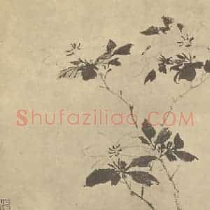 明代 陈淳国画作品《栀子》摘自 南画大成 卷四