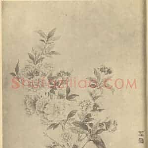 清代 邹一桂国画作品《芍药》摘自 南画大成 卷四