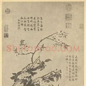 清代 邹一桂国画作品《红桃白梨》摘自 南画大成 卷四