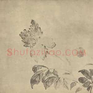 清代 汪士慎国画作品《芍药》摘自 南画大成 卷四