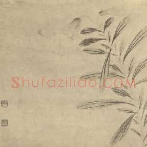 明代 陈淳国画作品《百合》摘自 南画大成 卷四