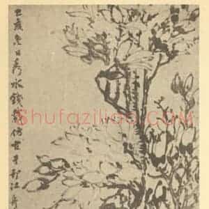 清代 钱载国画作品《玉兰图》摘自 南画大成 卷四