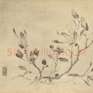 清代 尤英国画作品《辛夷花》摘自 南画大成 卷四