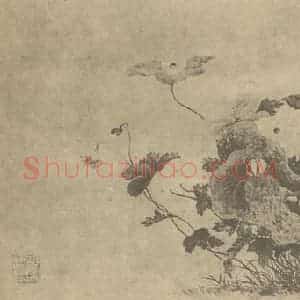 清代 钱东国画作品《罂粟图》摘自 南画大成 卷四
