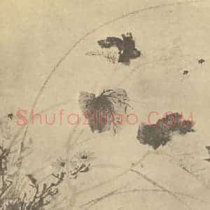 明代 陈淳国画作品《秋海棠图》摘自 南画大成 卷四