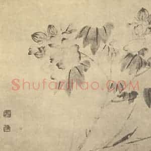 明代 陈淳国画作品《芙蓉图》摘自 南画大成 卷四