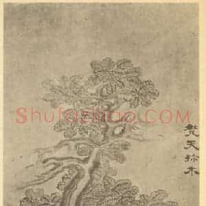 清代 戴熙国画作品《梵天珍木图》摘自 南画大成 卷四
