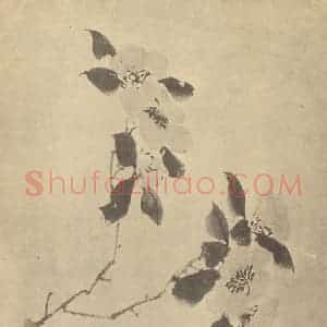 明代 陈淳国画作品《山茶》摘自 南画大成 卷四