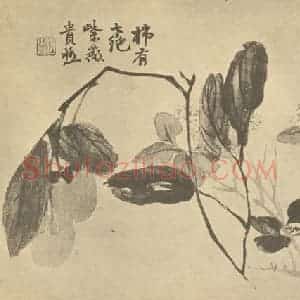 清代 赵之谦国画作品《紫薇赤柿》摘自 南画大成 卷四