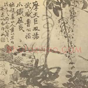 清代 赵之谦国画作品《藤花图》摘自 南画大成 卷四