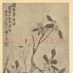 清代 胡远国画作品《桂花图》摘自 南画大成 卷四