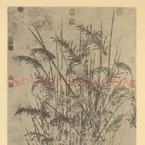 元代 无款国画作品《嘉禾图》摘自 南画大成 卷四