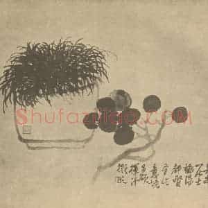 清代 吴昌硕国画作品《盆菖图》摘自 南画大成 卷四