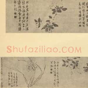 明代 陈淳国画作品《花卉五图卷》摘自 南画大成 卷四