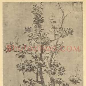 明代 陈栝国画作品《海棠图》摘自 南画大成 卷四