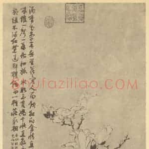 明代 陆治国画作品《玉兰图》摘自 南画大成 卷四