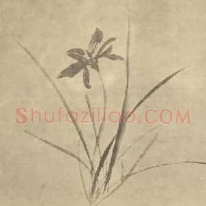 明代 徐渭国画作品《萱草》摘自 南画大成 卷四