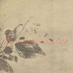 明代 徐渭国画作品《秋海棠图》摘自 南画大成 卷四